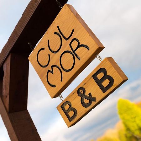 Cul Mor B&B Eccleshall Exteriör bild