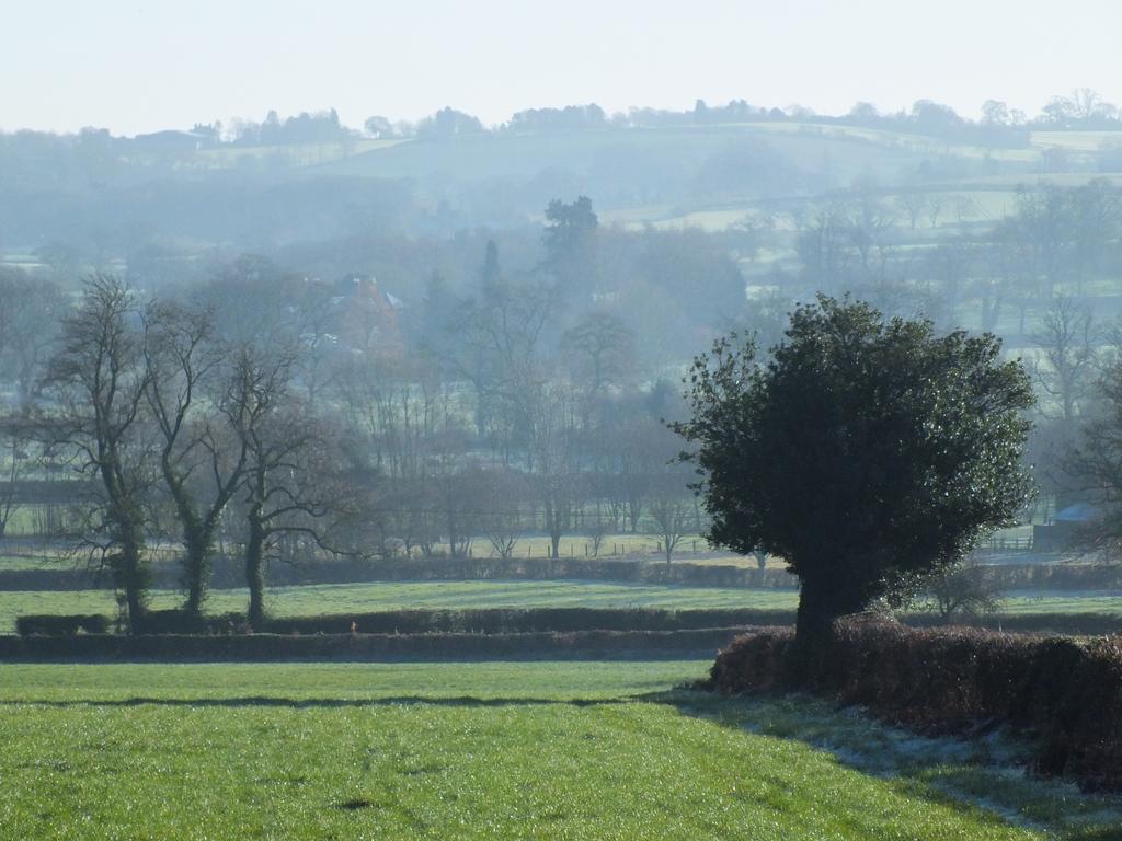 Cul Mor B&B Eccleshall Exteriör bild